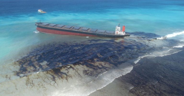 Mauritius oil spill clean-up to end in January