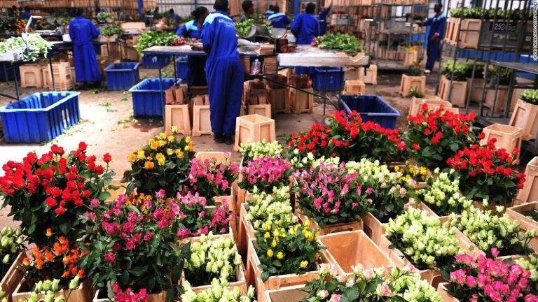 Kenyan flower sector decries losses due to lockdown in France