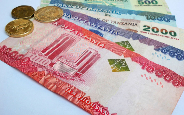 Tanzania’s record-high foreign reserves signal improving economic outlook