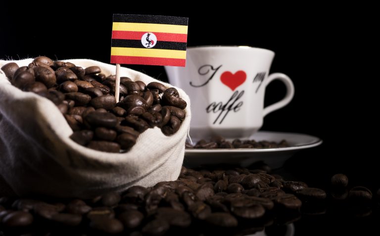 Uganda withdraws from International Coffee Organization amid fears of losing its European lucrative market.